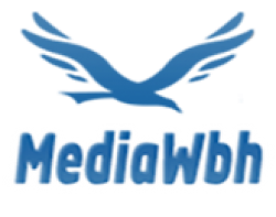 mediawbh malatya web tasarım