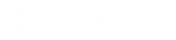 Calvin Calvins