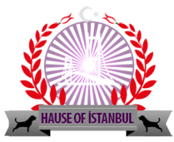 House of İstanbul  House of İstanbul 