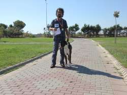 İstanbul Köpek Eğitmeni