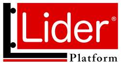 Lider Platform Hid.Mak.ve Müh.San.Tic.Ltd.Şti. Lider Platform Hidrolik Yük Asansörleri 