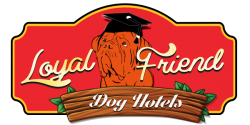 Loyal Friend Köpek Oteli ve Eğitimi Loyal Friend Köpek Oteli ve Eğitimi
