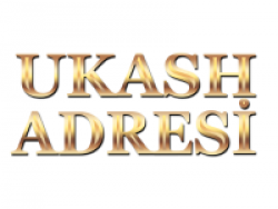  ORİON Ön Ödemeli Kart Sistemleri, İnt. Hizm. Dan. 