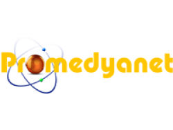  Promedyanet