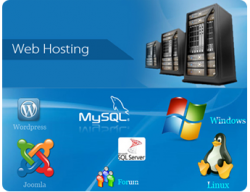 Web Hosting Web Tasarim