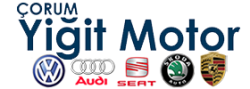 Yiğit Motor Volkswagen Audi Skoda Seat Porsche Özel Servis Çorum